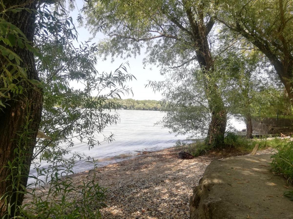 Bocke Beach House Novi Sad Eksteriør bilde