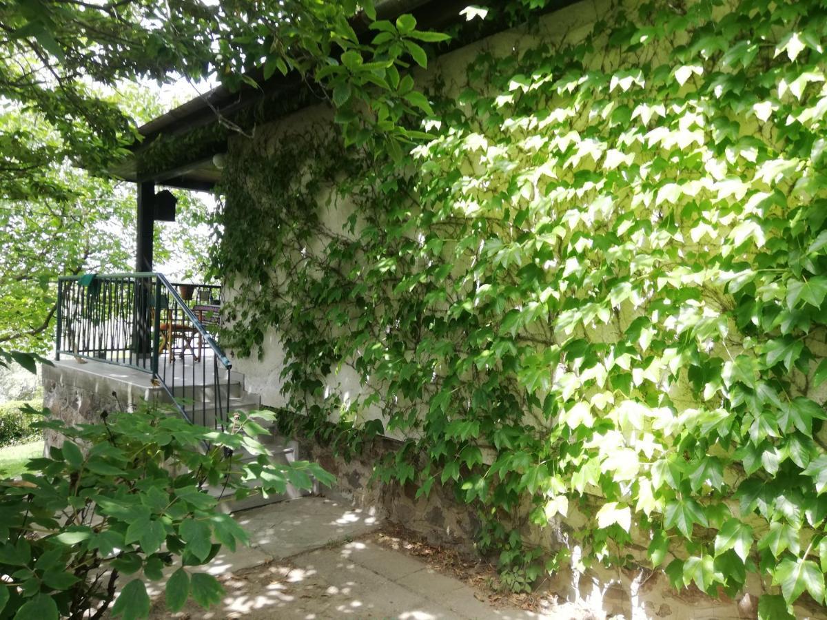 Bocke Beach House Novi Sad Eksteriør bilde