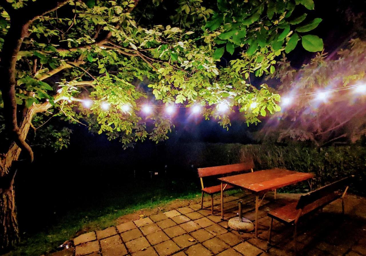 Bocke Beach House Novi Sad Eksteriør bilde