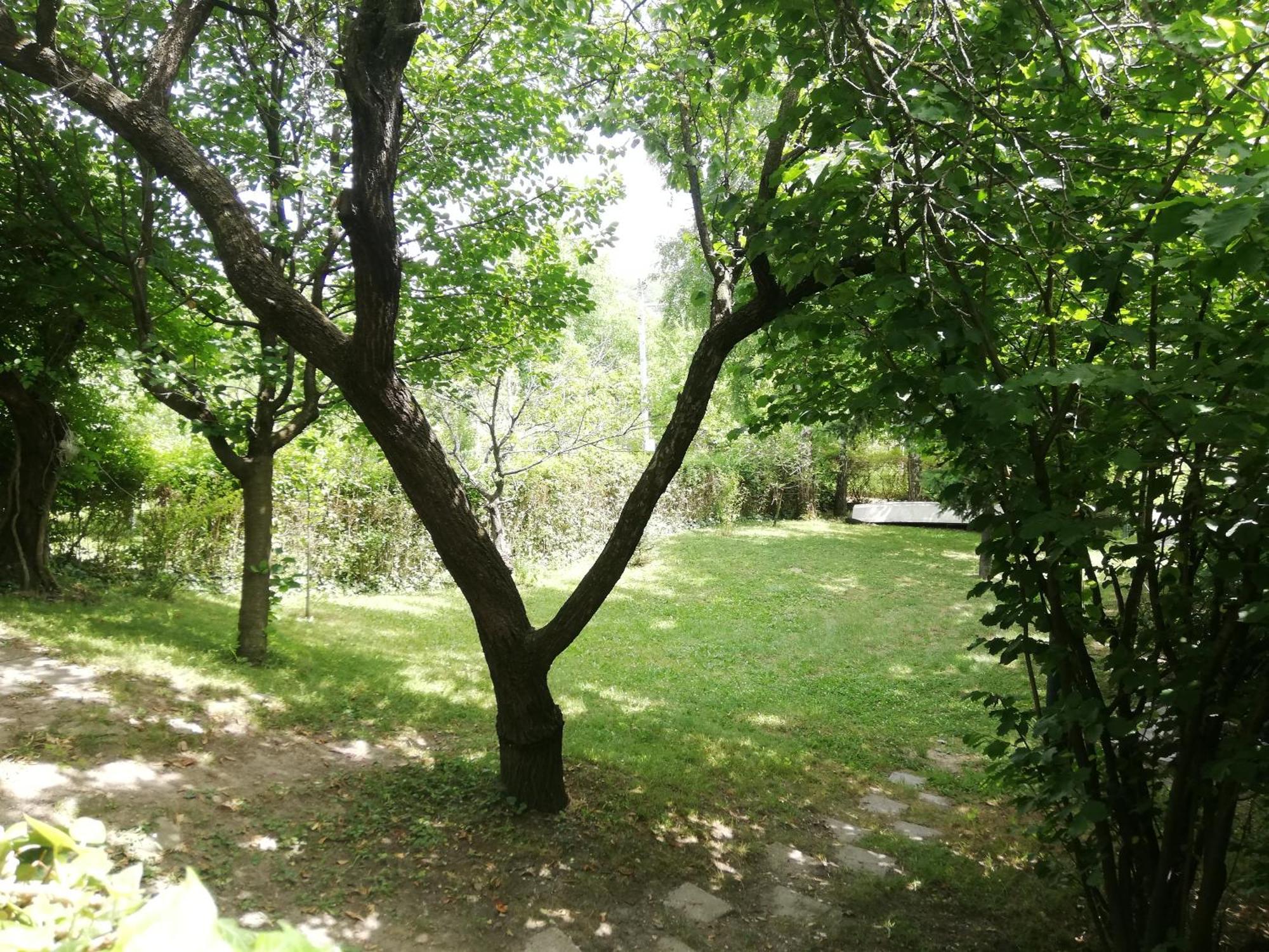 Bocke Beach House Novi Sad Eksteriør bilde