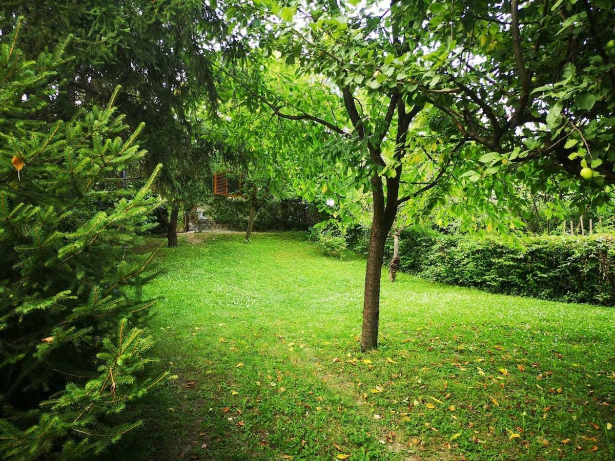 Bocke Beach House Novi Sad Eksteriør bilde